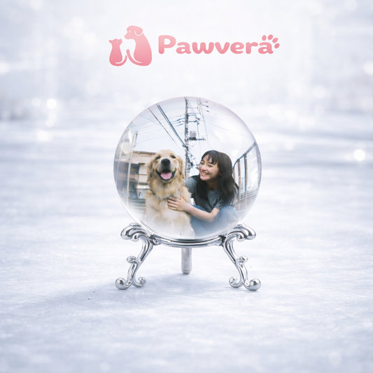 Pawvera™ 3D 스피어 볼